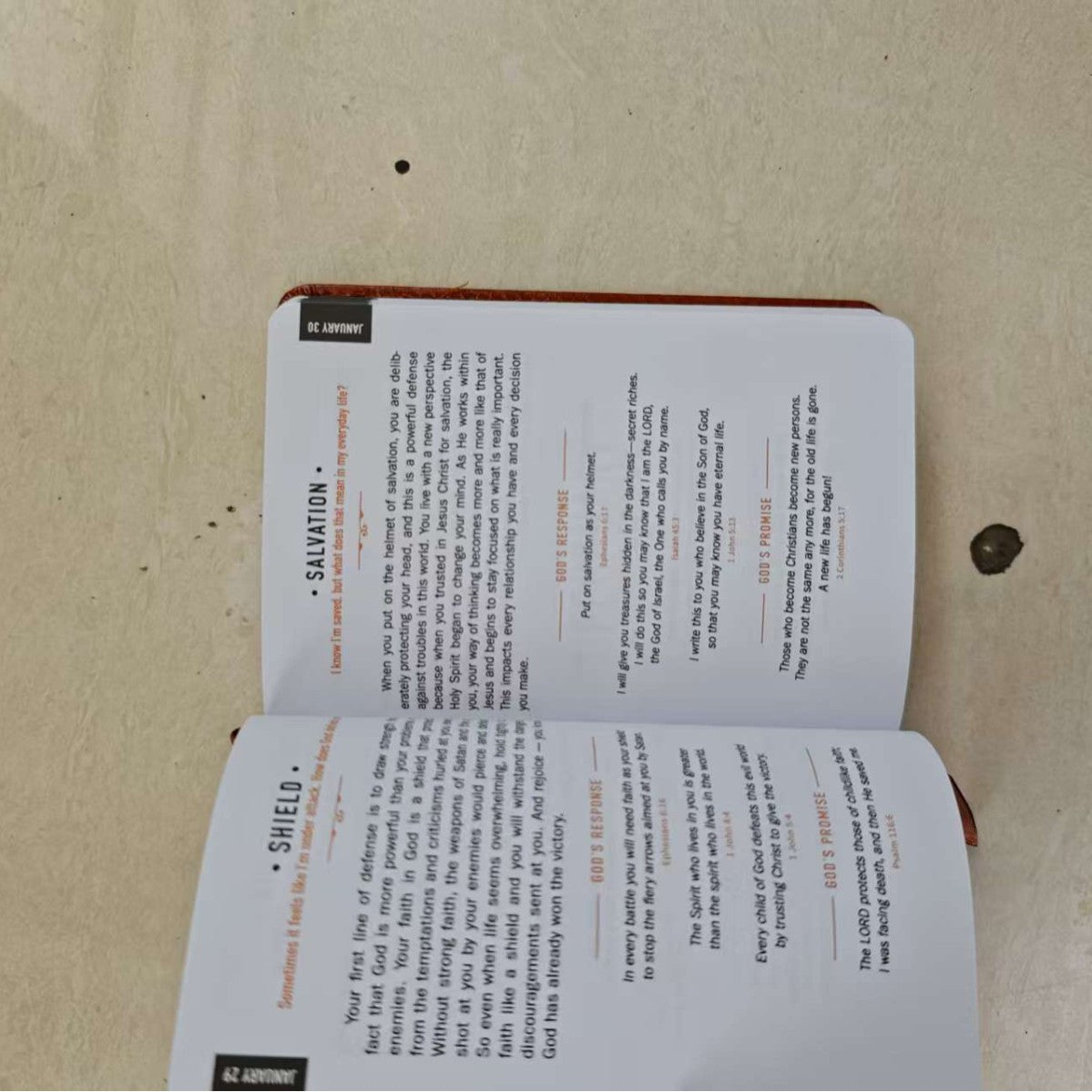 365 Days Daily Prayer Book